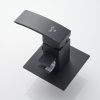 Гигиенический душ со смесителем Rose R1505H-2 черный