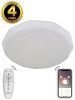 Люстра потолочная Natali Kovaltseva LED LAMPS (ЛЕД ЛАМПС) LED LAMPS 81082