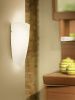 Настенно-потолочный светильник Eglo Nemo (Немо) 83119