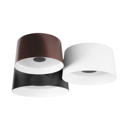 Светильник потолочный Loft It Duo 10360/3