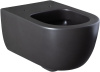 Чаша унитаза подвесная Allen Brau Priority 4.31001.31 цвет черный матовый без сиденья безободковая каскадный смыв
