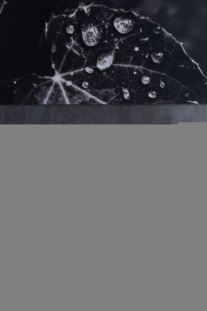 Раковина керамическая Allen Brau Fantasy 4.11022.IV 60х40 накладная цвет бежевый без отверстий под смеситель