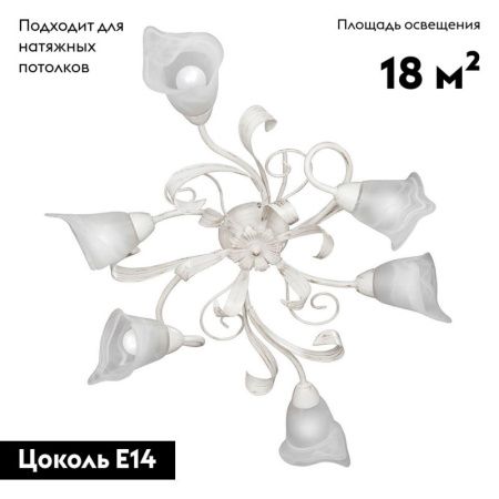 Люстра потолочная Vitaluce V3747 V3747-0/6PL