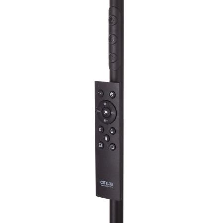 Торшер Citilux Solo (Соло) CL804061