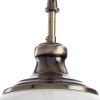 Светильник подвесной Arte Lamp Guimet (Гуимет) A3051SP-1AB