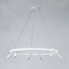 Люстра подвесная Arte Lamp Ring (Ринг) A2186SP-1WH