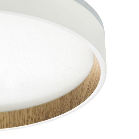 Светильник потолочный музыкальный Citilux Etalon (Еталон) CL750240