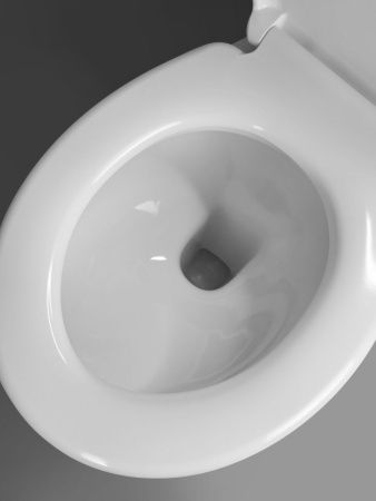 Чаша унитаза напольный Creo Сeramique TOULOR TL1002 цвет белый без сиденья и бачка