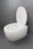 Унитаз подвесной Creo Сeramique AVIGNON COMBO-AV1100W/AV1001WT белый с сиденьем с микролифт смыв торнадо