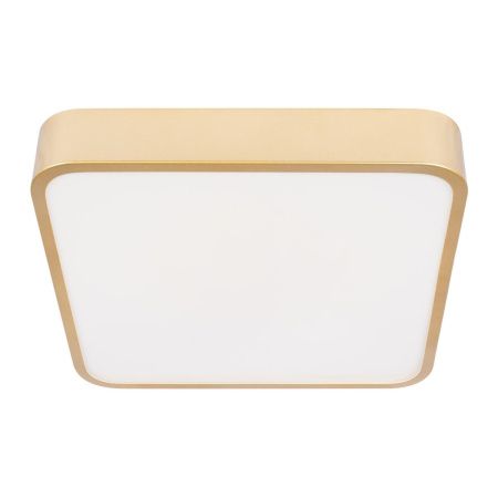 Светильник потолочный Loft It Flims 10228/C