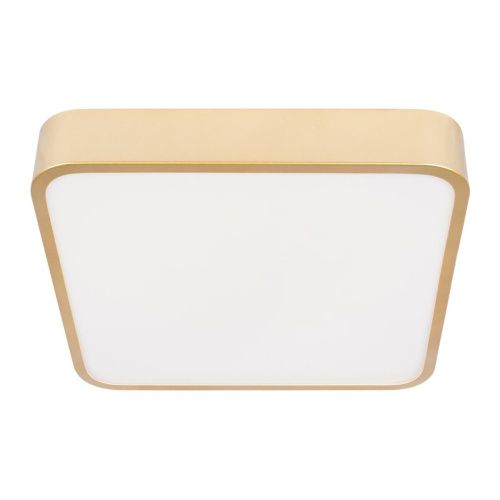 Светильник потолочный Loft It Flims 10228/C - фото 5