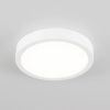 Светильник накладной Citilux Галс CL5522N