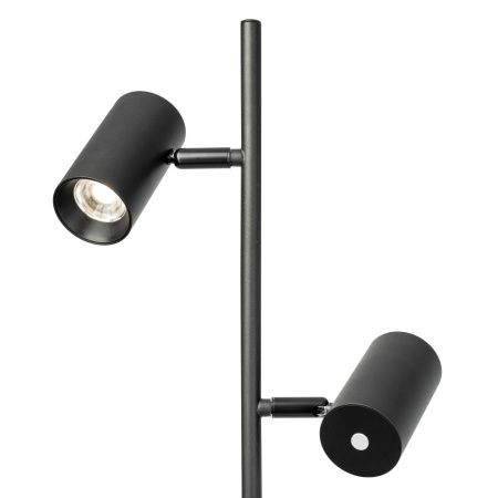 Торшер Citilux Twin (Твин) CL809011N