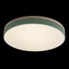 Светильник потолочный Loft It Axel 10001/36 Green