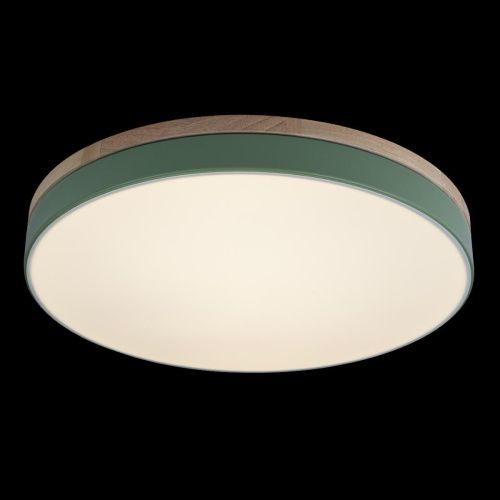 Светильник потолочный Loft It Axel 10001/36 Green - фото 3