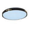 Светильник потолочный Lumina Deco Paneli (Панели) LDC 8063-48W BK