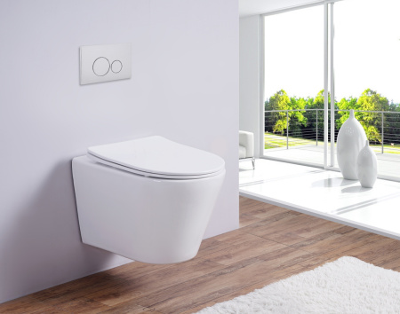 Унитаз подвесной Esbano CLAVEL ESUPCLAVW белый глянцевый с сиденьем микролифт безободковый каскадный смыв