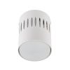 Светильник накладной Fametto DLC-S619 GX53 WHITE