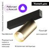 Трековый светильник Denkirs Smart Spot (Смарт Спот) DK8020-BG