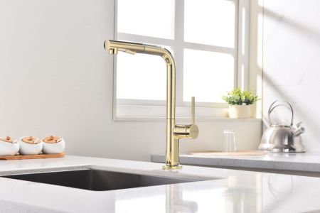 Смеситель для кухни Paulmark NEO Ne214419-G на мойку золото