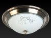 Светильник накладной Toplight Molly (Моллы) TL5020Y-02AB