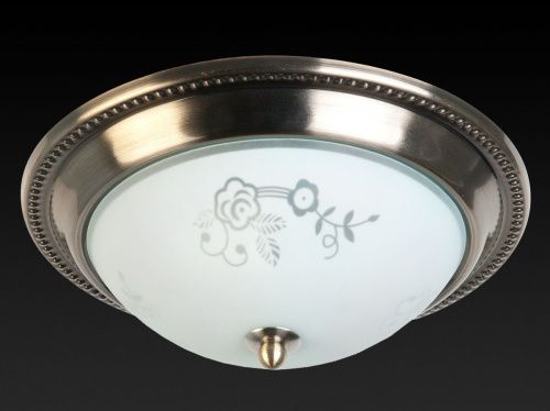 Светильник накладной Toplight Molly (Моллы) TL5020Y-02AB - фото 3