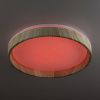 Светильник потолочный музыкальный Citilux Enzo (Ензо) CL753352G