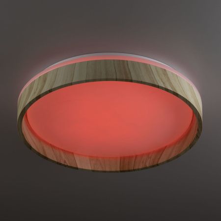 Светильник потолочный музыкальный Citilux Enzo (Ензо) CL753352G
