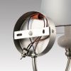 Бра Lumion Kentuki (Кентуки) 8283/1W