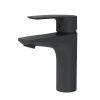 Смеситель Am.Pm Gem F90A02122 на раковину черный