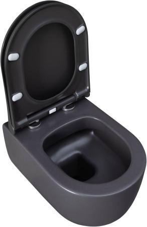 Чаша унитаза подвесная Allen Brau Priority 4.31002.AN цвет черный без сиденья безободковая каскадный смыв