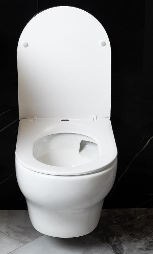 Унитаз подвесной Boheme Fiore 978-SET-W цвет белый глянцевый с сиденьем микролифт безободковый смыв торнадо - фото 3