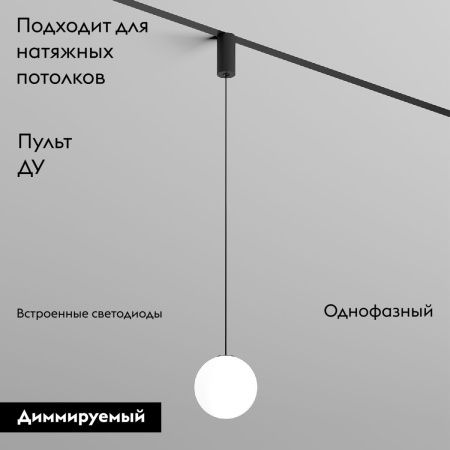 Трековый однофазный светильник Denkirs Smart Moon (Смарт Моон) DK8052-BK