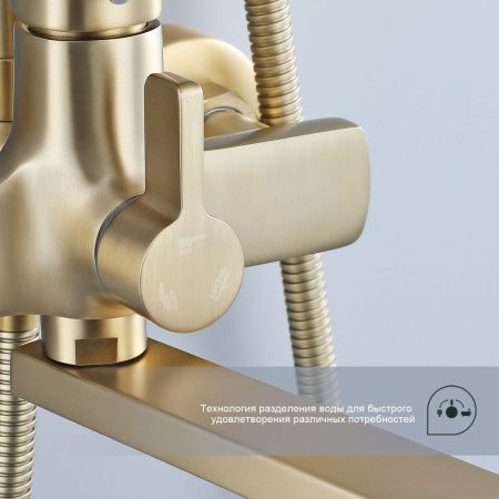Душевая стойка Splenka S30.24.03 настенная цвет золото