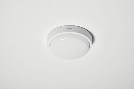 Настенно-потолочный светильник OPPLE LED Bulkhead E2 (ЛЕД Булкхеад Е2) 531000010000