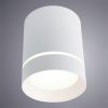 Светильник потолочный Arte Lamp Elle (Елле) A1909PL-1WH
