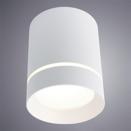 Светильник потолочный Arte Lamp Elle (Елле) A1909PL-1WH - фото 3