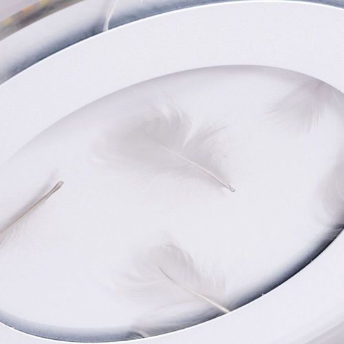 Светильник потолочный Arte Lamp MULTI-PIUMA (МУЛТИ-ПИУМА) A1397PL-1CL - фото 3