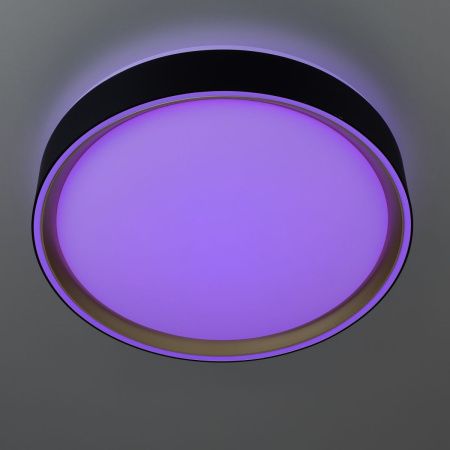 Светильник потолочный музыкальный Citilux Boss (Босс) CL751251G