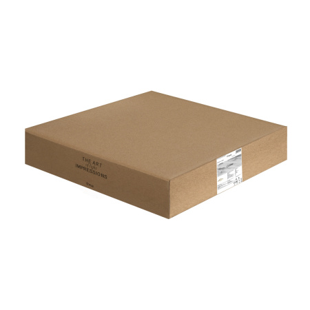 Светильник потолочный Freya Cubba (Кубба) FR5450CL-L120BG