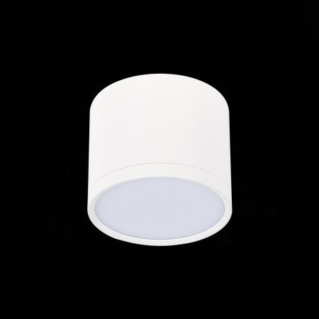 Светильник потолочный ST Luce Rene (Рене) ST113.532.09