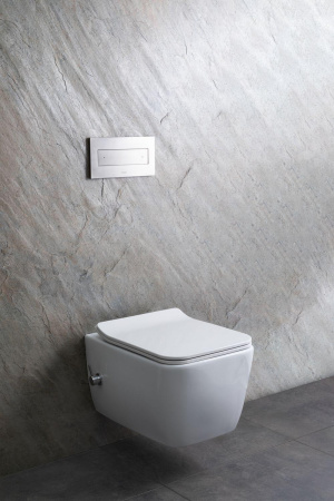 Чаша унитаза подвесная Allen Brau Liberty 4.33009.20 цвет белый без сиденья безободковая каскадный смыв