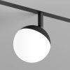 Трековый однофазный светильник Denkirs Smart Moon (Смарт Моон) DK8055-BK