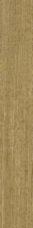 SPC ламинат Damy Floor FAMILY 190902EL-07F Дуб Золотой толщина 0.4 см 43 класс 1220х180