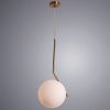 Светильник подвесной Arte Lamp Bolla-Unica (Болла-Уница) A1922SP-1AB
