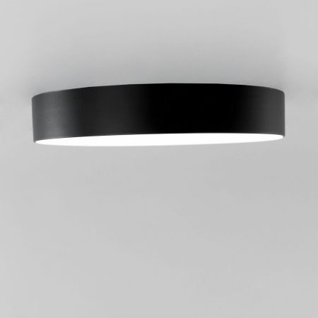 Светильник накладной Citilux Тао CL712242N