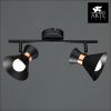 Спот Arte Lamp Baltimore (Балтиморе) A1406AP-2BK
