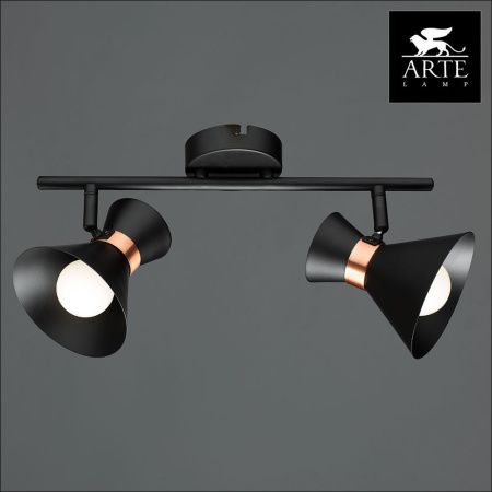 Спот Arte Lamp Baltimore (Балтиморе) A1406AP-2BK