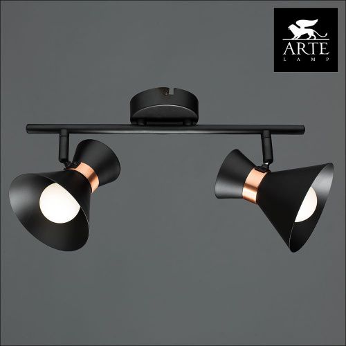 Спот Arte Lamp Baltimore (Балтиморе) A1406AP-2BK - фото 4