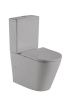 Унитаз напольный с бачком WeltWasser WW SALZBACH 001MT-GR (10000003766) серый с сиденьем микролифт безободковый душевой смыв